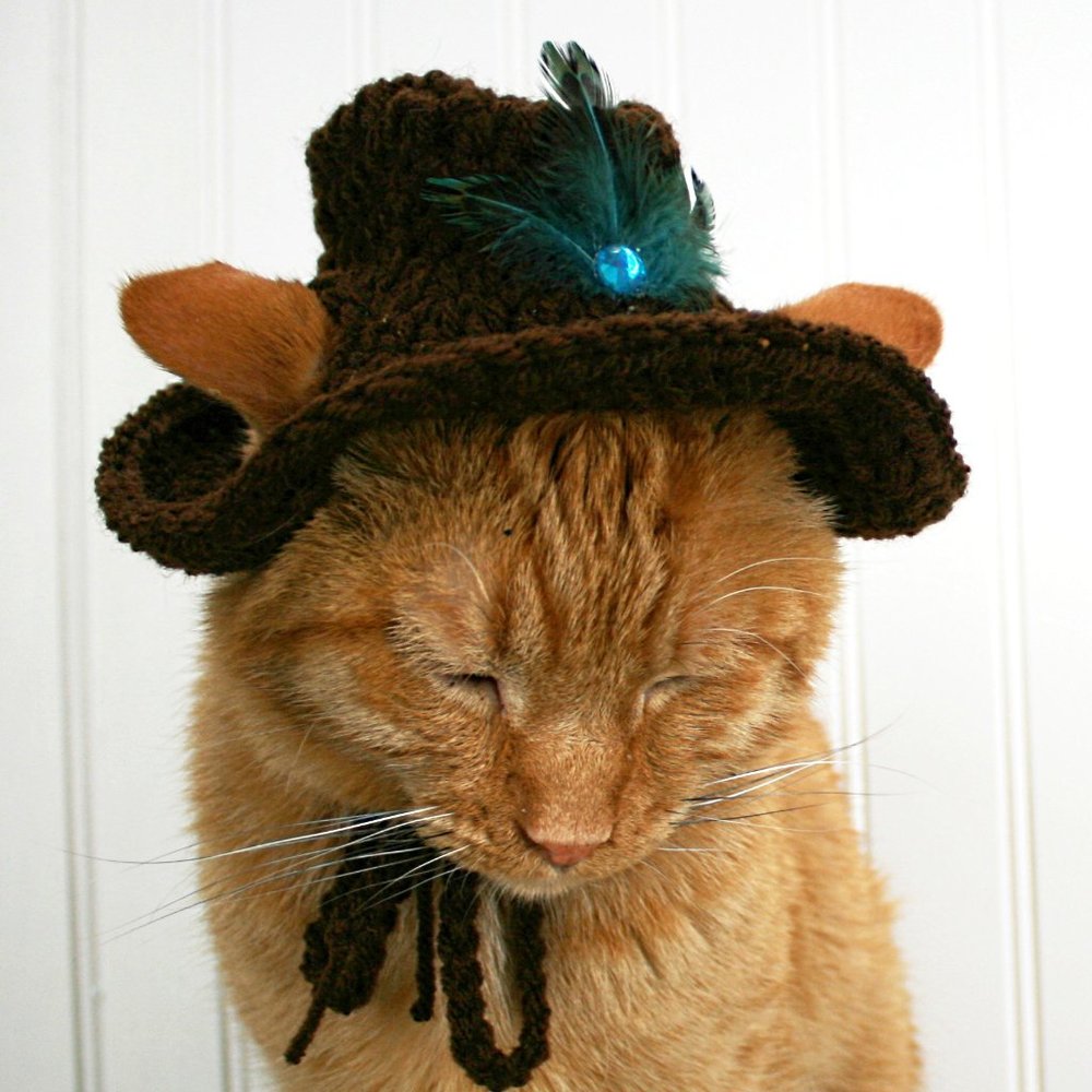 HAND CRAFTED Crochet Cowboy Cat Hat Brown Costume Pet Supply Photo Prop - Picture 3 of 15